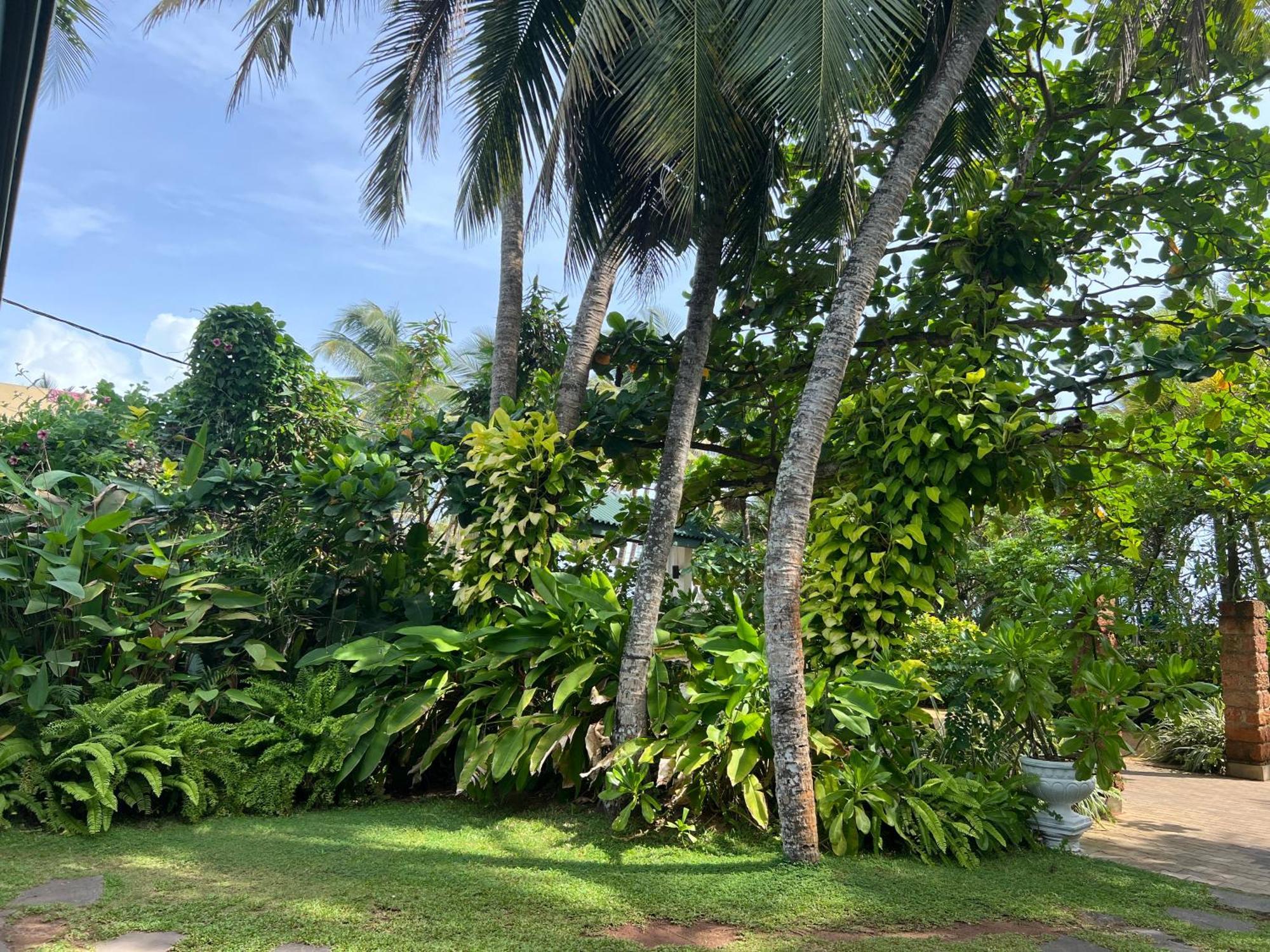 Lohas Beach Resort Villa Kalutara Kültér fotó