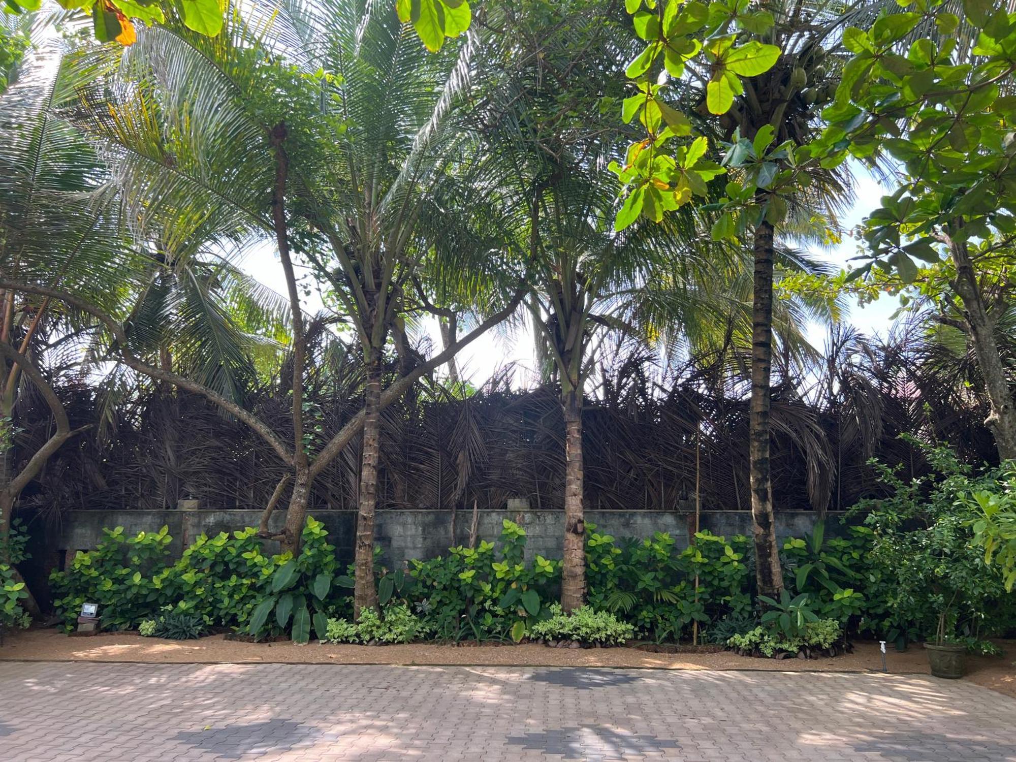 Lohas Beach Resort Villa Kalutara Kültér fotó