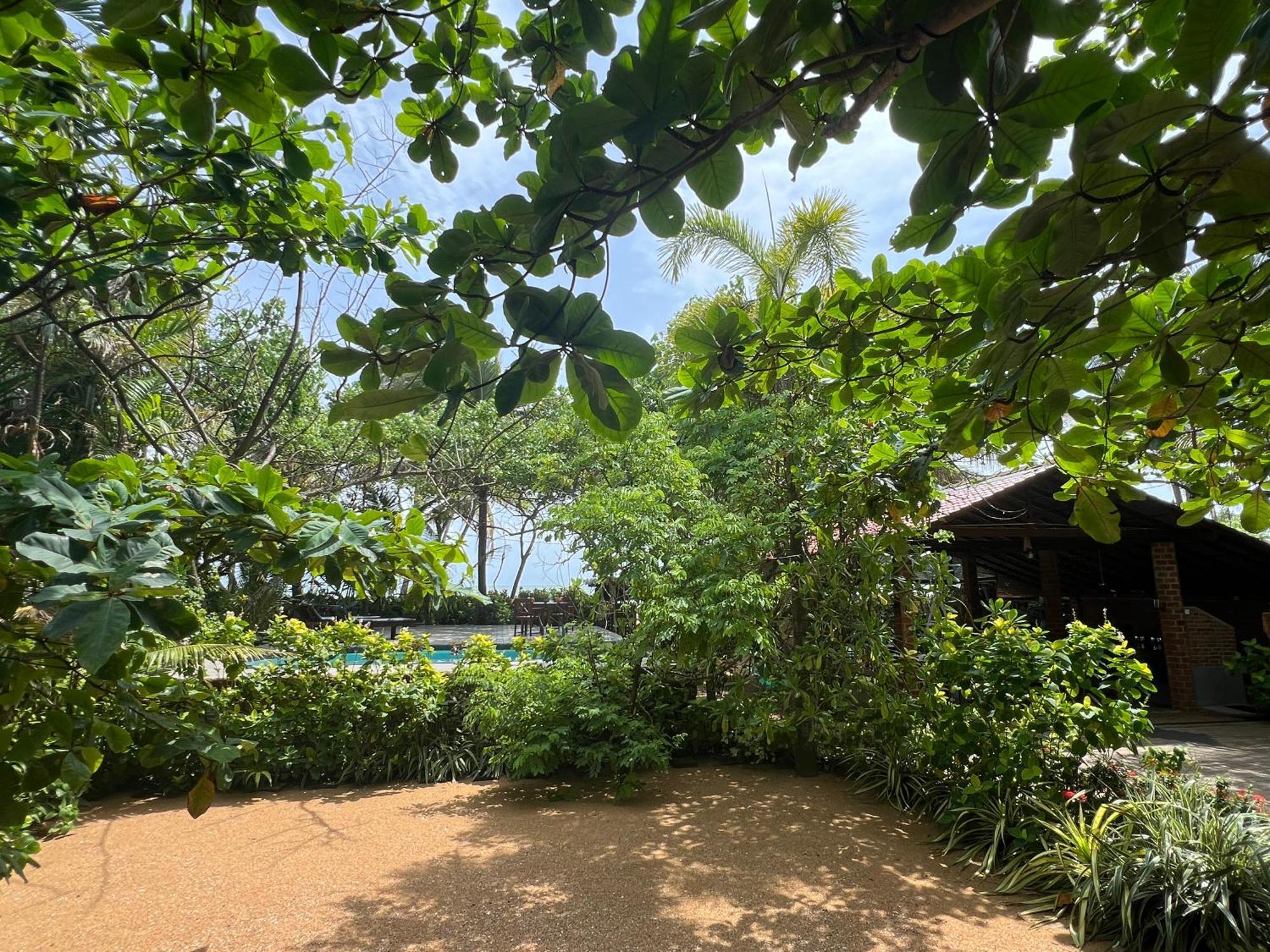 Lohas Beach Resort Villa Kalutara Kültér fotó