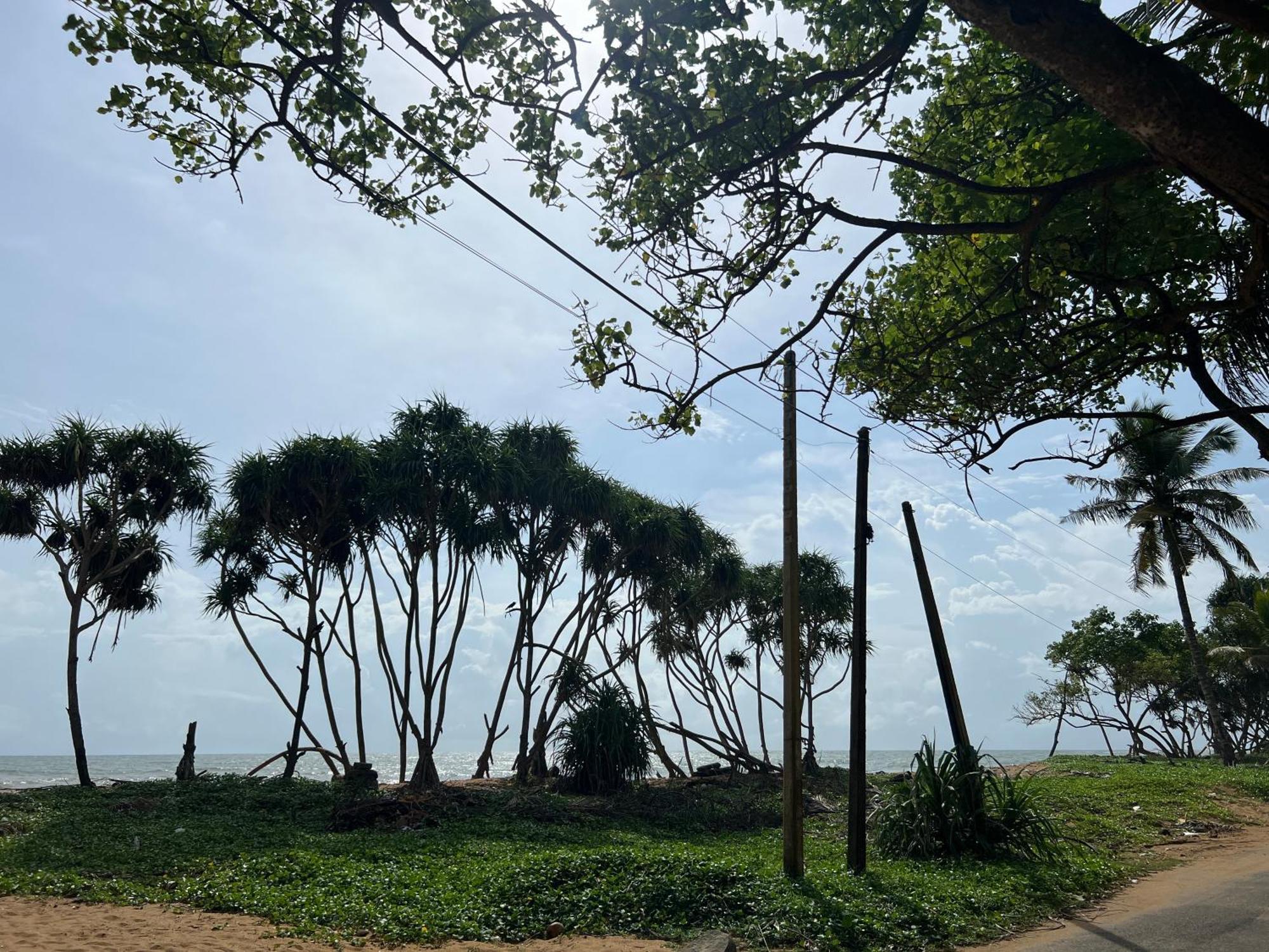Lohas Beach Resort Villa Kalutara Kültér fotó